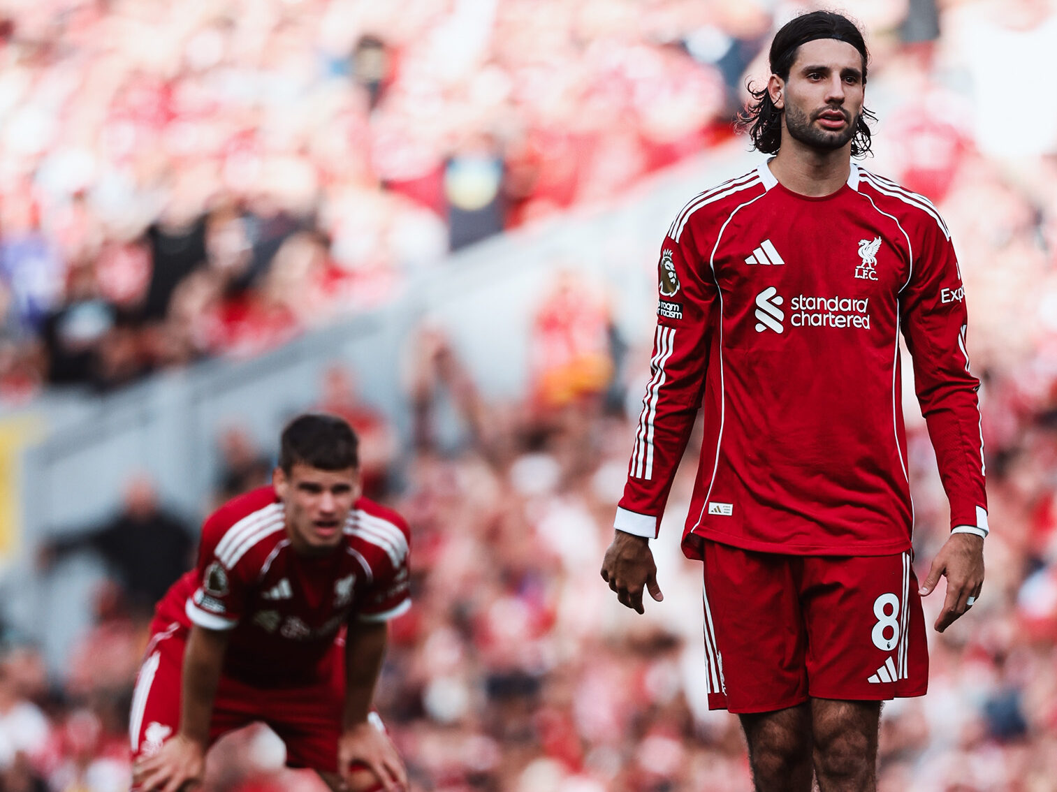 541673937 1358062345688593 5077040065735965845 n