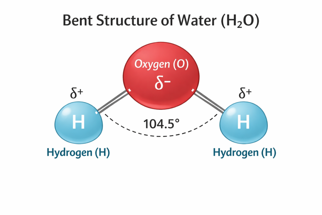 Bent Structure of Water (H₂O)