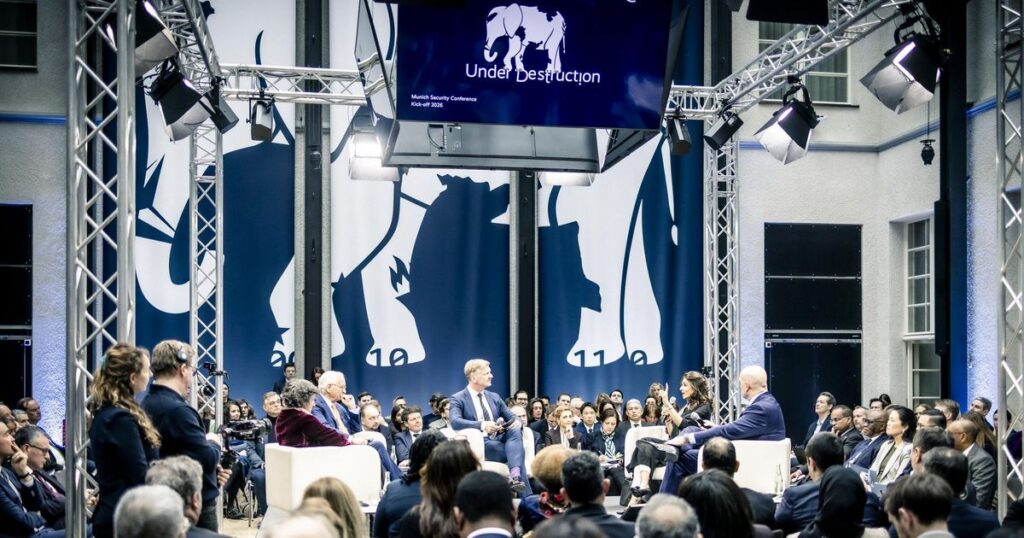 Daily Insight 14 February 2026