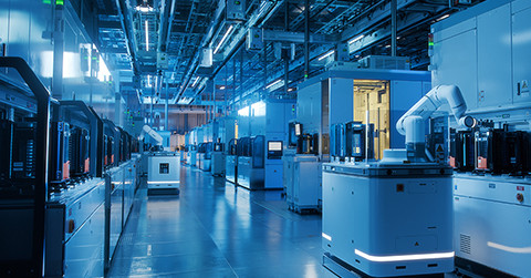 Daily Insight 14 February 2026