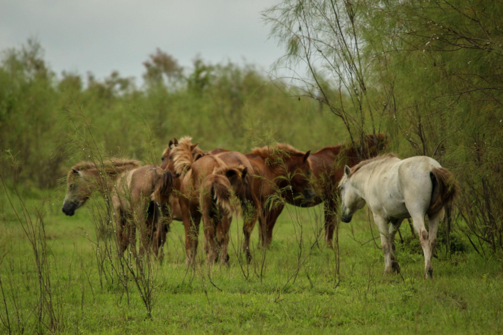 hidden places in northeast india