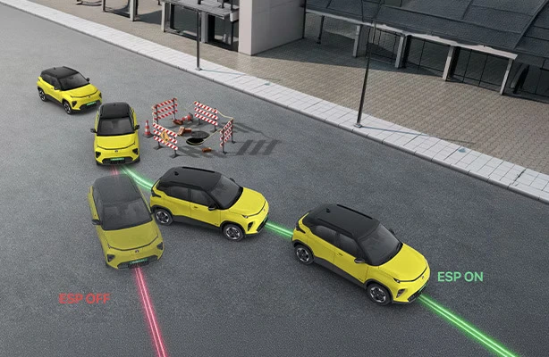 Performance and Driving Dynamics