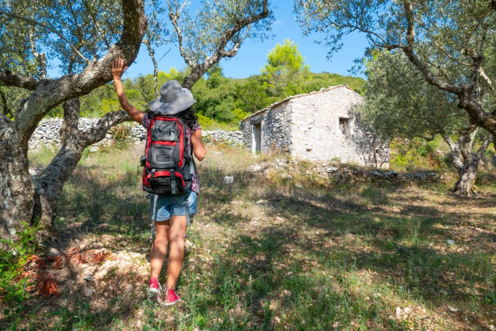 April 17 daily insight