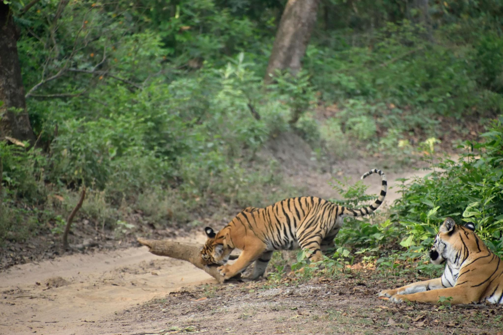 April 22 2026 daily insight