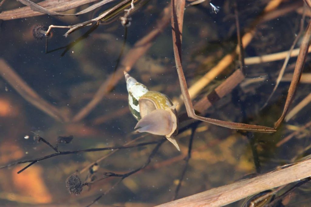 April 23 2026 daily insight